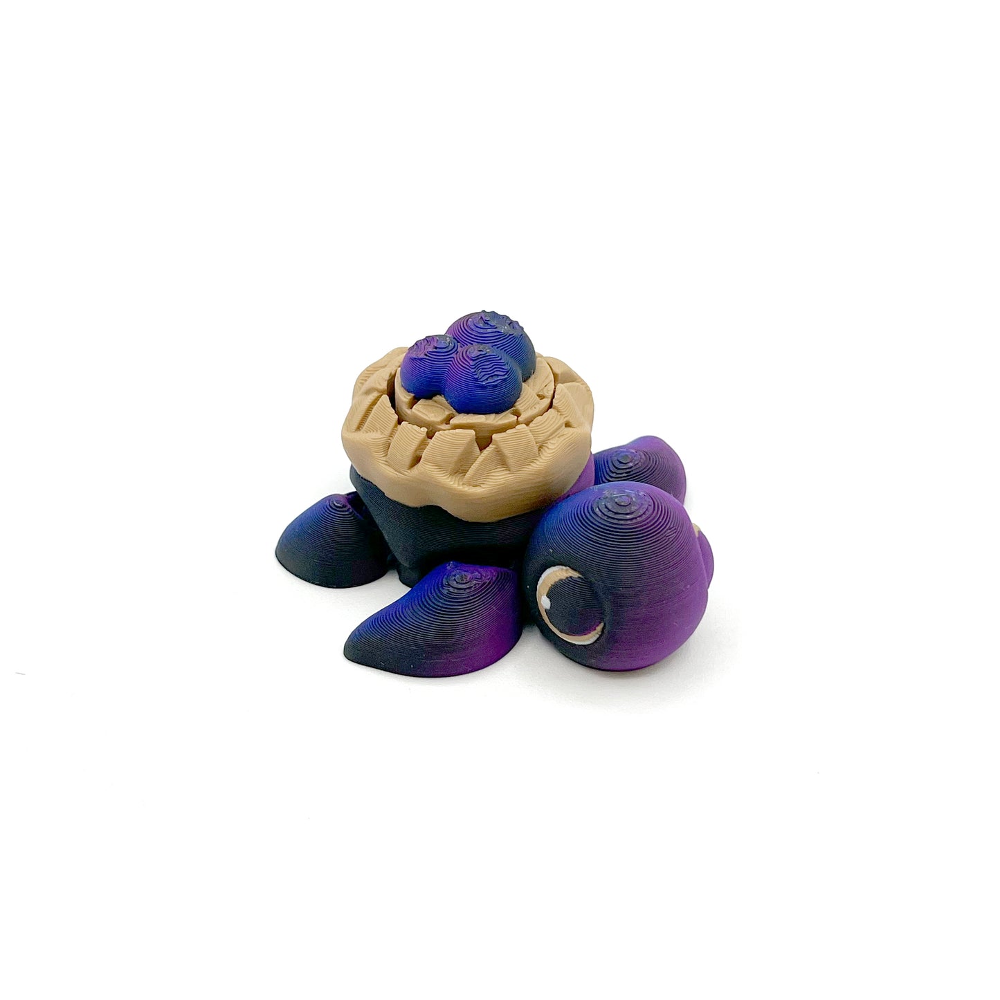 Turtle Fruit Fidget Clicker Keychain Sensory Toy - Autism, ADHD, Stress, Anxiety Relief