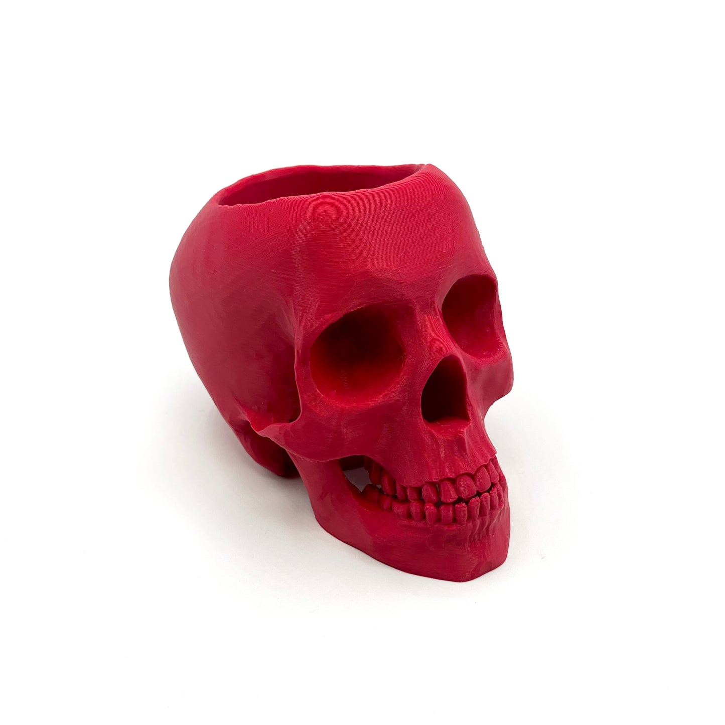 3D Printed Skull Pen Holder ā Bookish Decor for Desk or Vanity | Fantasy-Inspired Organizer