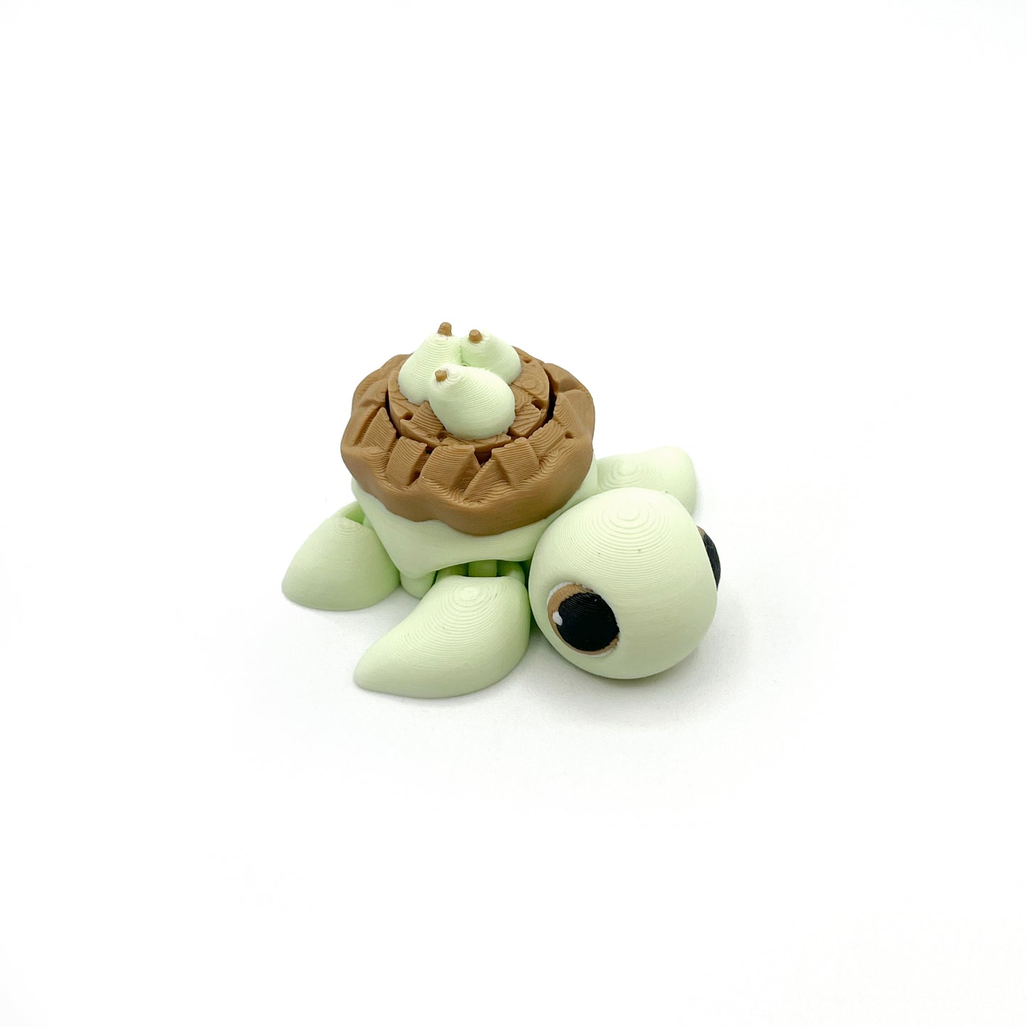 Turtle Fruit Fidget Clicker Keychain Sensory Toy - Autism, ADHD, Stress, Anxiety Relief
