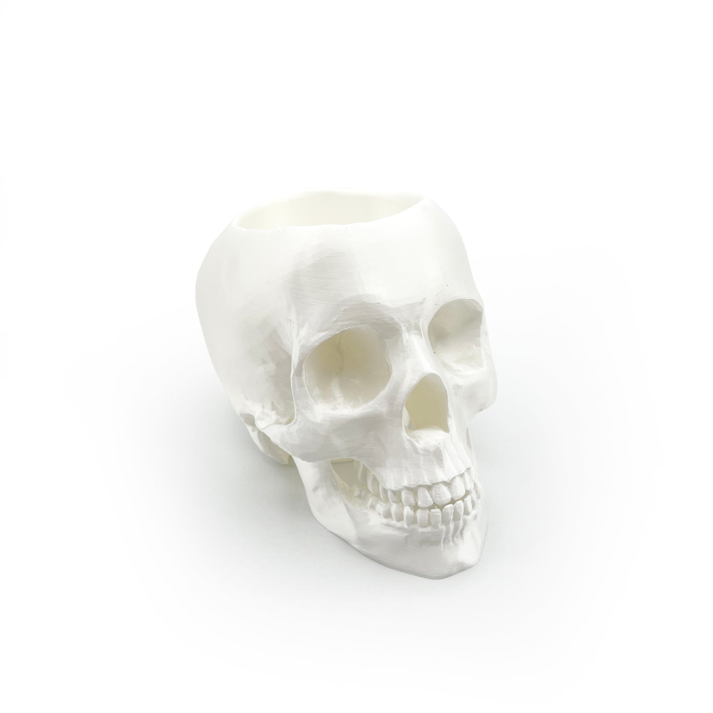 3D Printed Skull Pen Holder – Bookish Decor for Desk or Vanity | Fantasy-Inspired Organizer